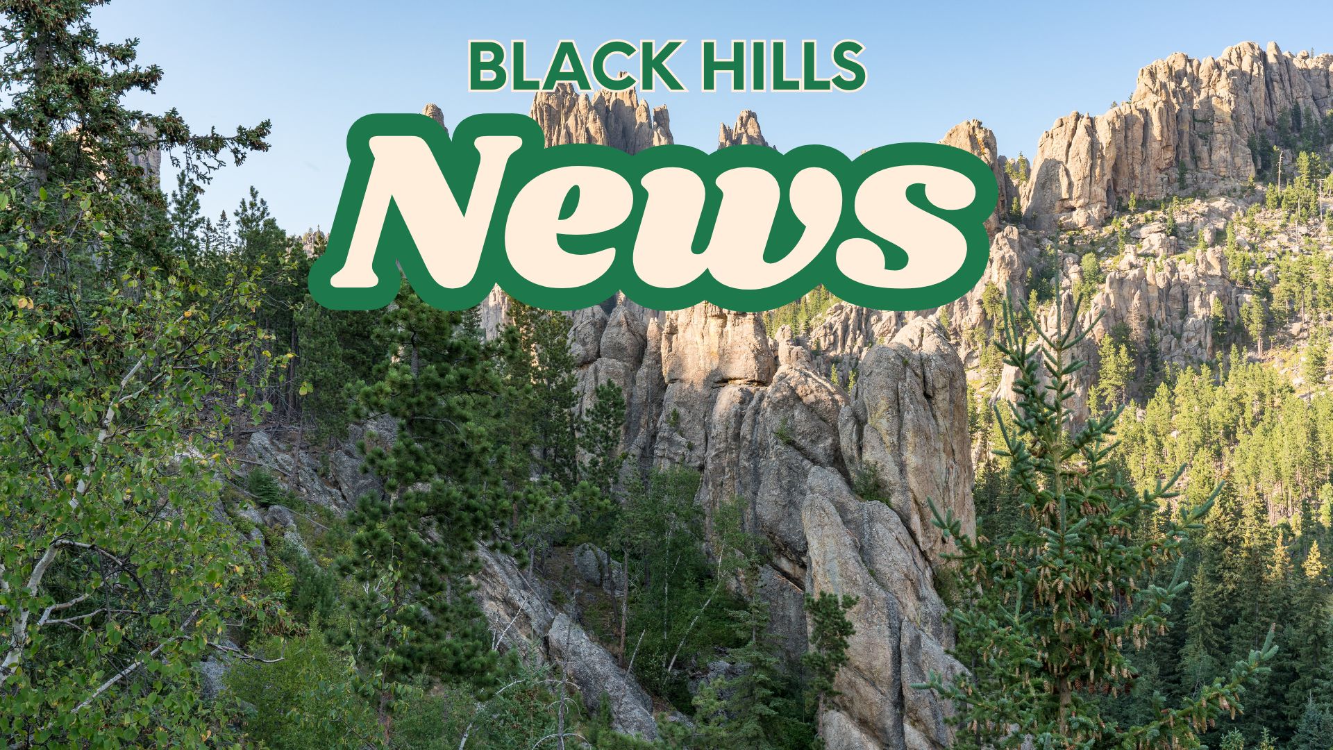 News Letter Journal - Staff Photo - Create Article
