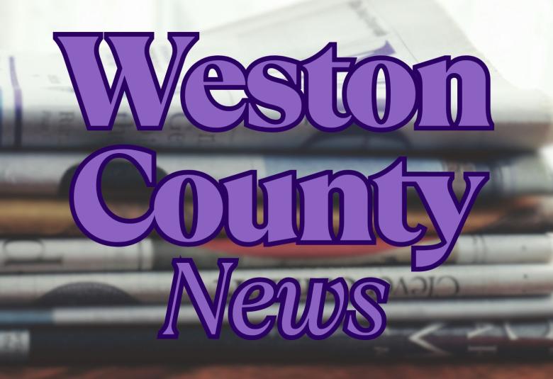 News Letter Journal - Staff Photo - Create Article