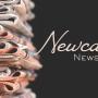 News Letter Journal - Staff Photo - Create Article