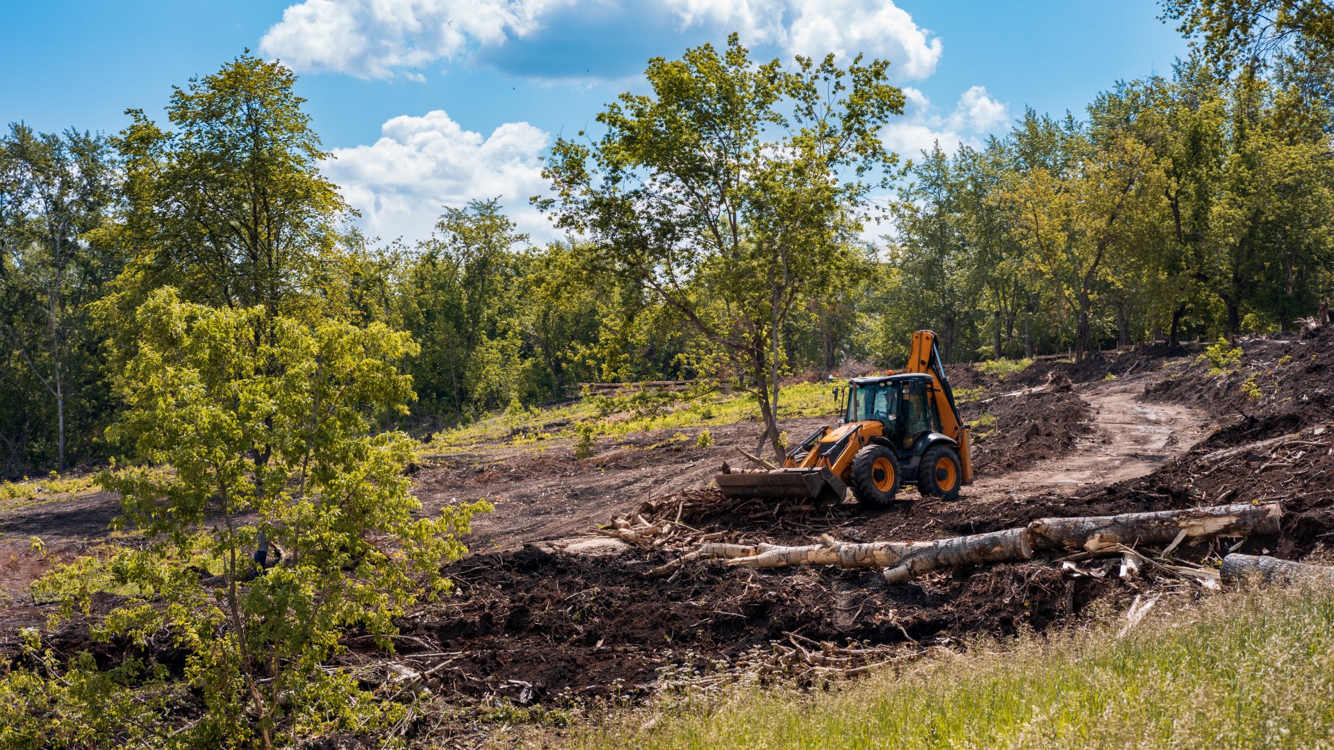 A yellow backhoe loader clearing fallen trees and debris from a dirt hillside surrounded by green trees and forest.
