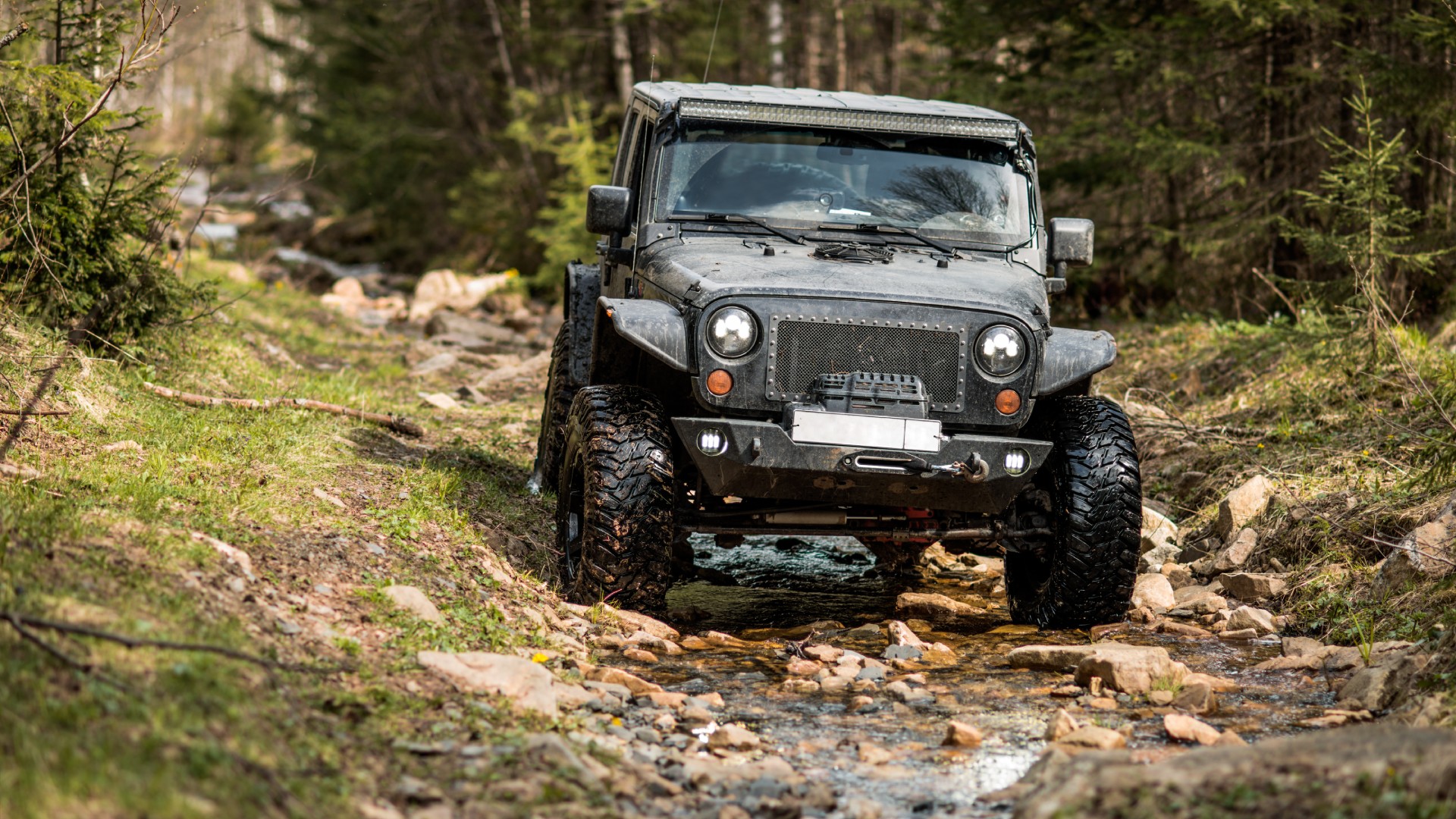 A Jeep is on a rocky nature trail in the middle of a forested area. There are trees on either side of the trail.
