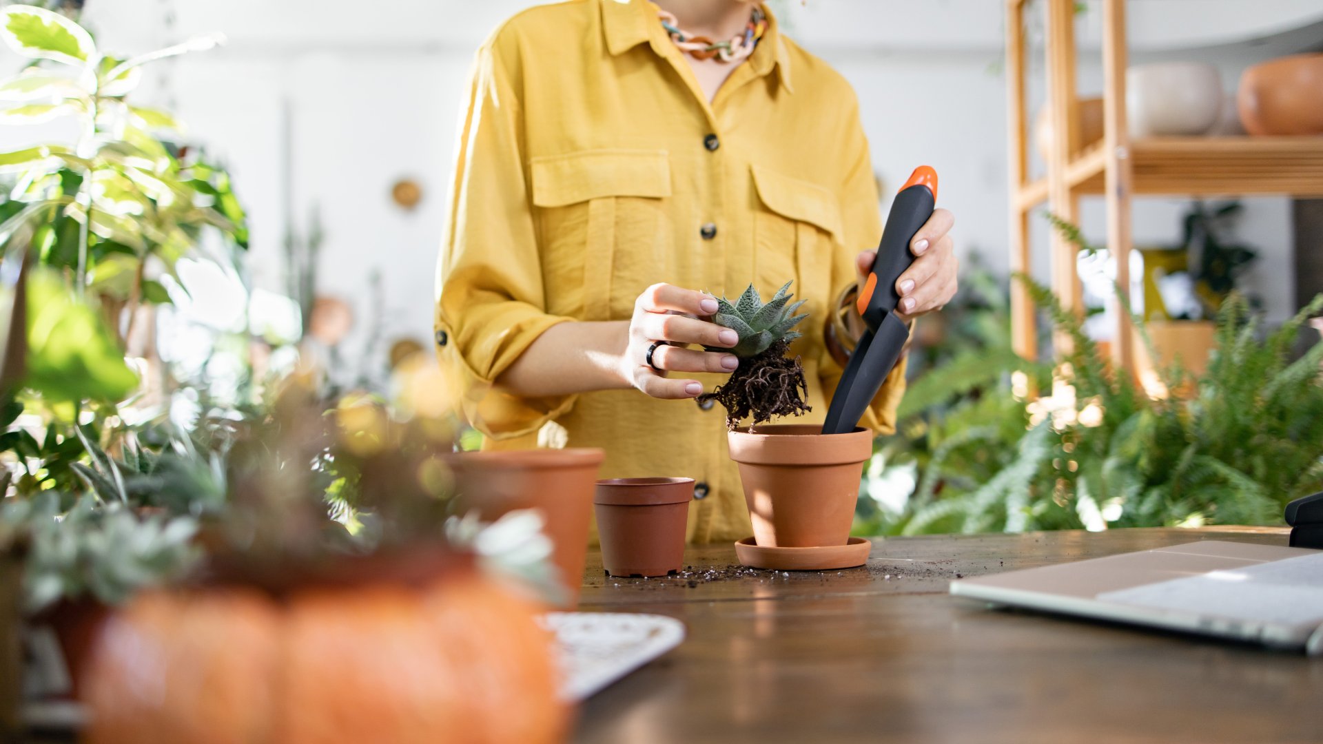 A woman using a garden trowel to transfer a plant from on pot to another. She is surrounded by many other plants.