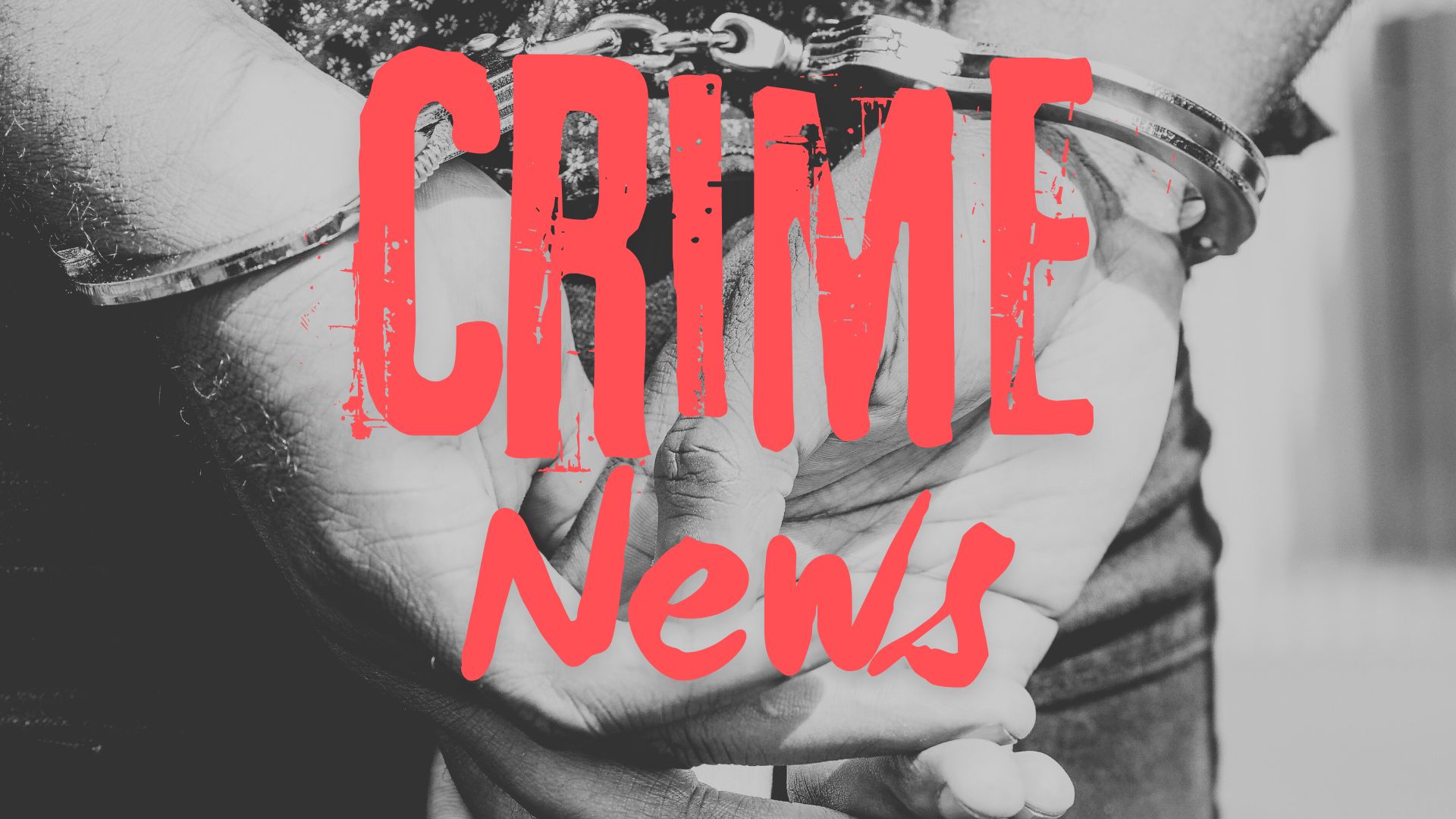 News Letter Journal - Staff Photo - Create Article