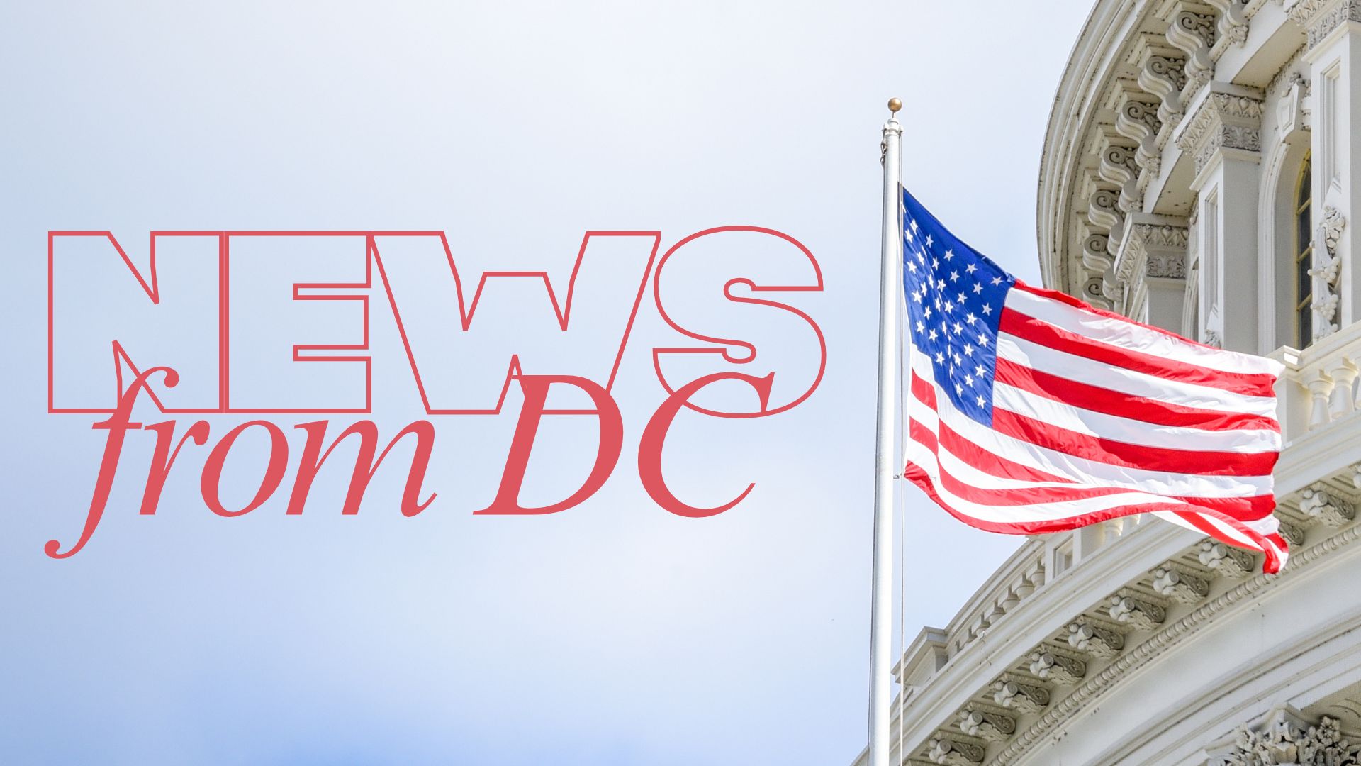 News Letter Journal - Staff Photo - Create Article