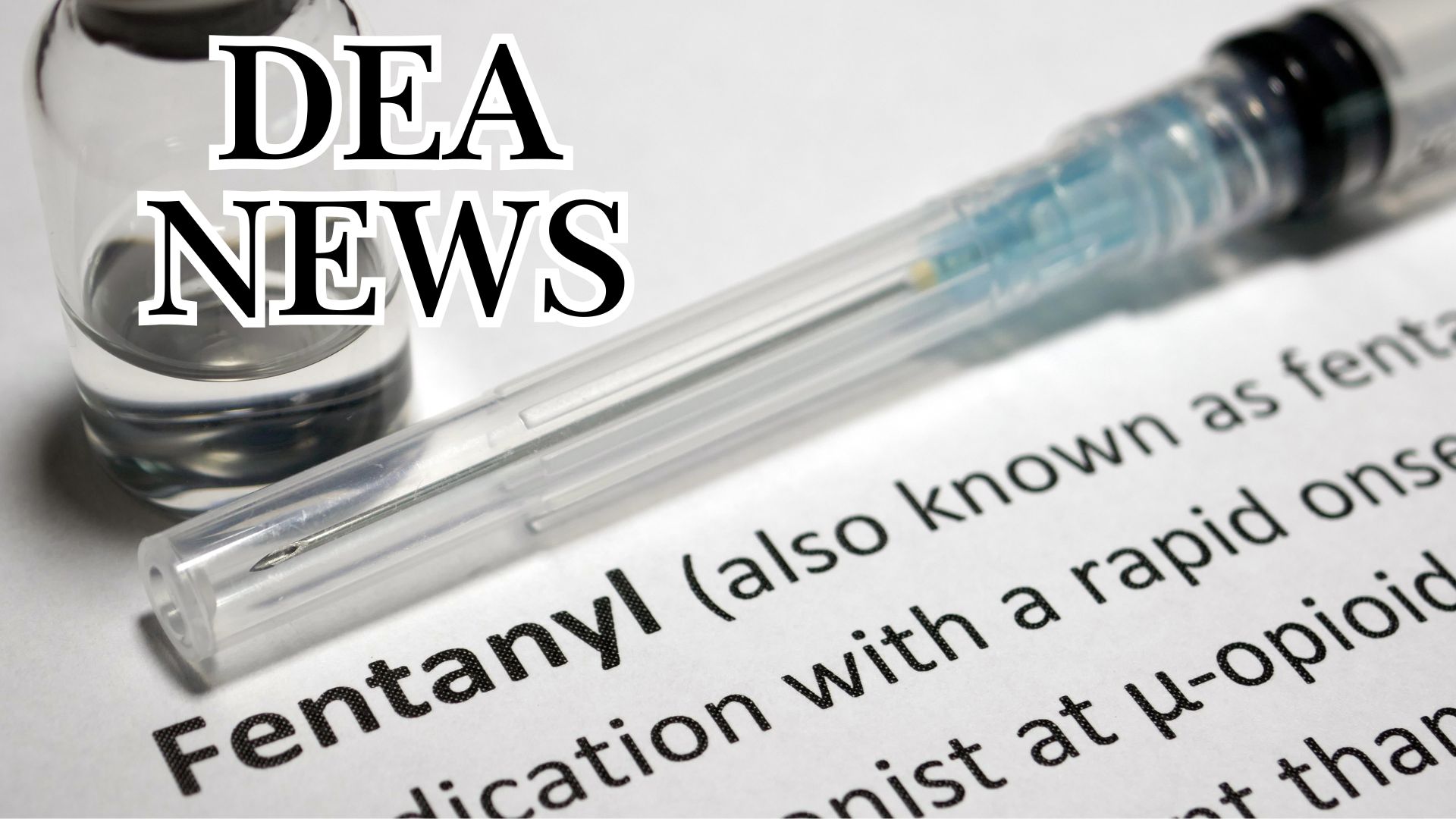 News Letter Journal - Staff Photo - Create Article