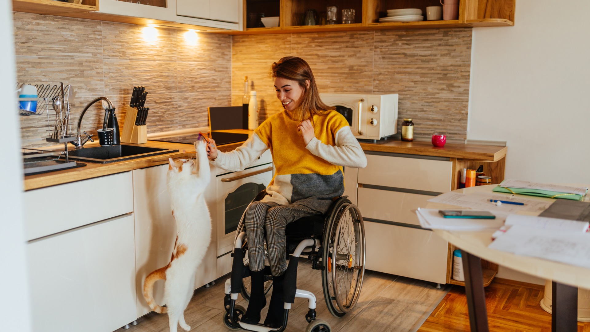 A young woman sitting in a wheelchair playing with her cat. She is in the kitchen, next to a sink and stove.