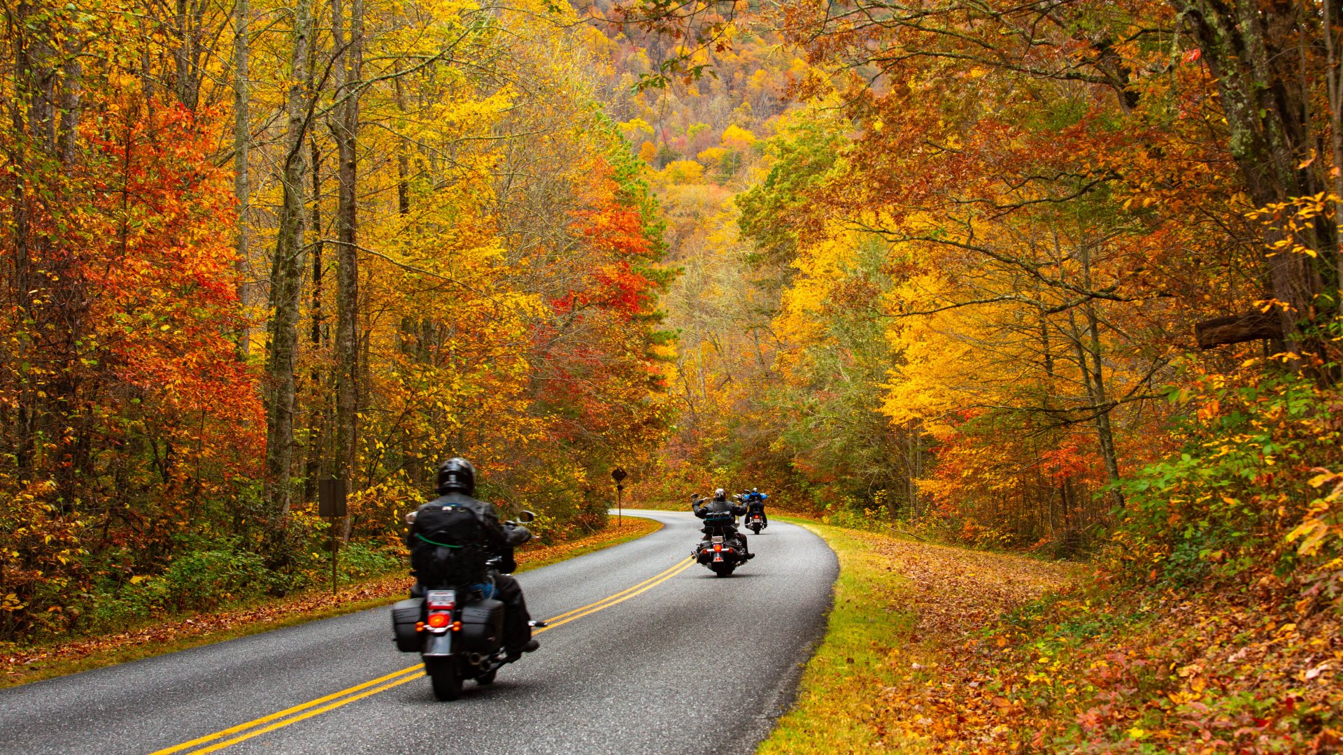 Three riders on motorcycles navigating a curved road lined by trees displaying red, orange, yellow, and green leaves.