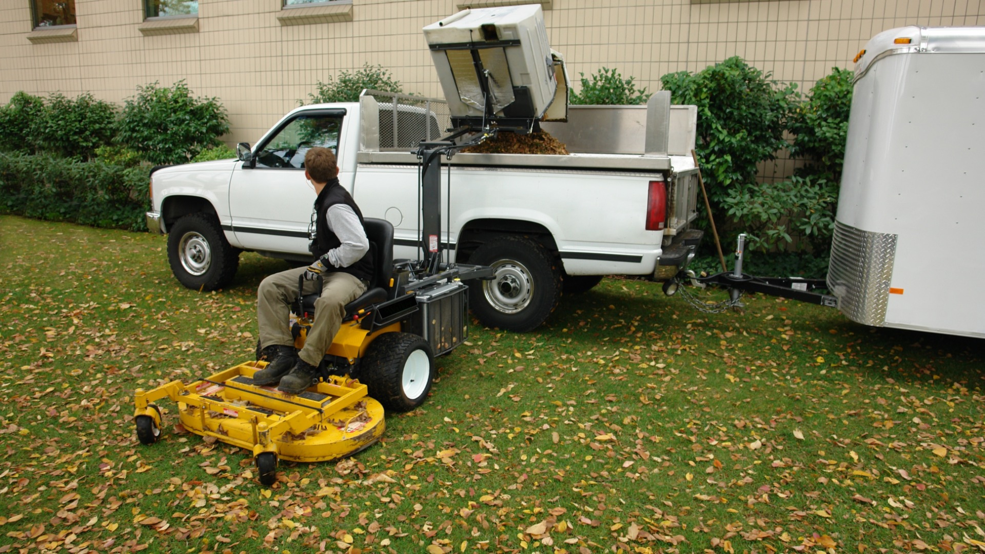 A man sitting on a gas leaf collector, looking at a white pickup truck while dumping multiple leaves into the bed.