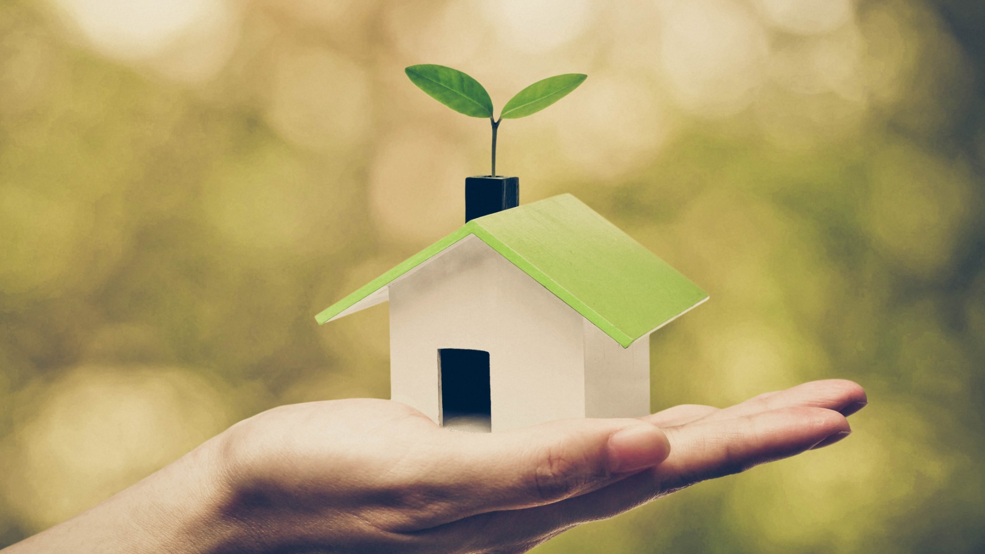 A person is holding a miniature house in the palm of their hands. From the house a green leaf sprouts.