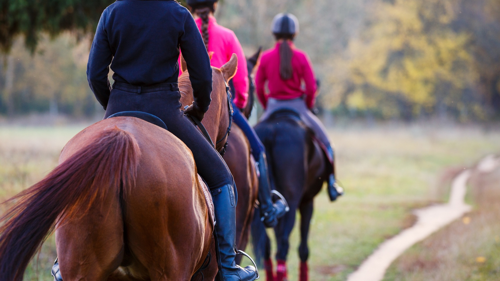 A group of teenage girls, wearing pink and red sweaters, is enjoying a horseback ride through a park.