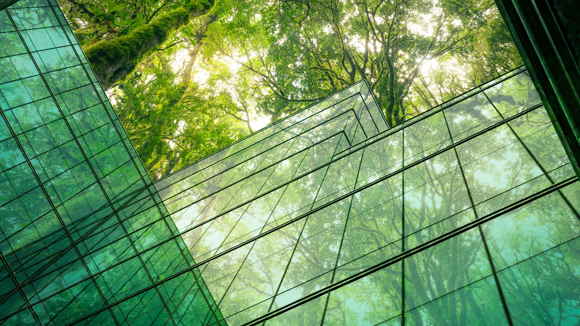 A close-up of an eco-friendly company's glass building in a city, featuring trees that reflect off the glass.