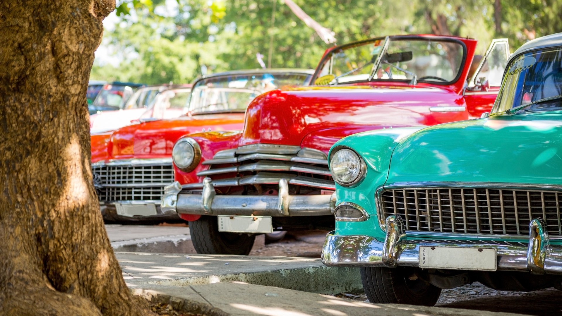 Three classic cars of different makes and models are parked on the side of a street, next to a tree, on a sunny afternoon.