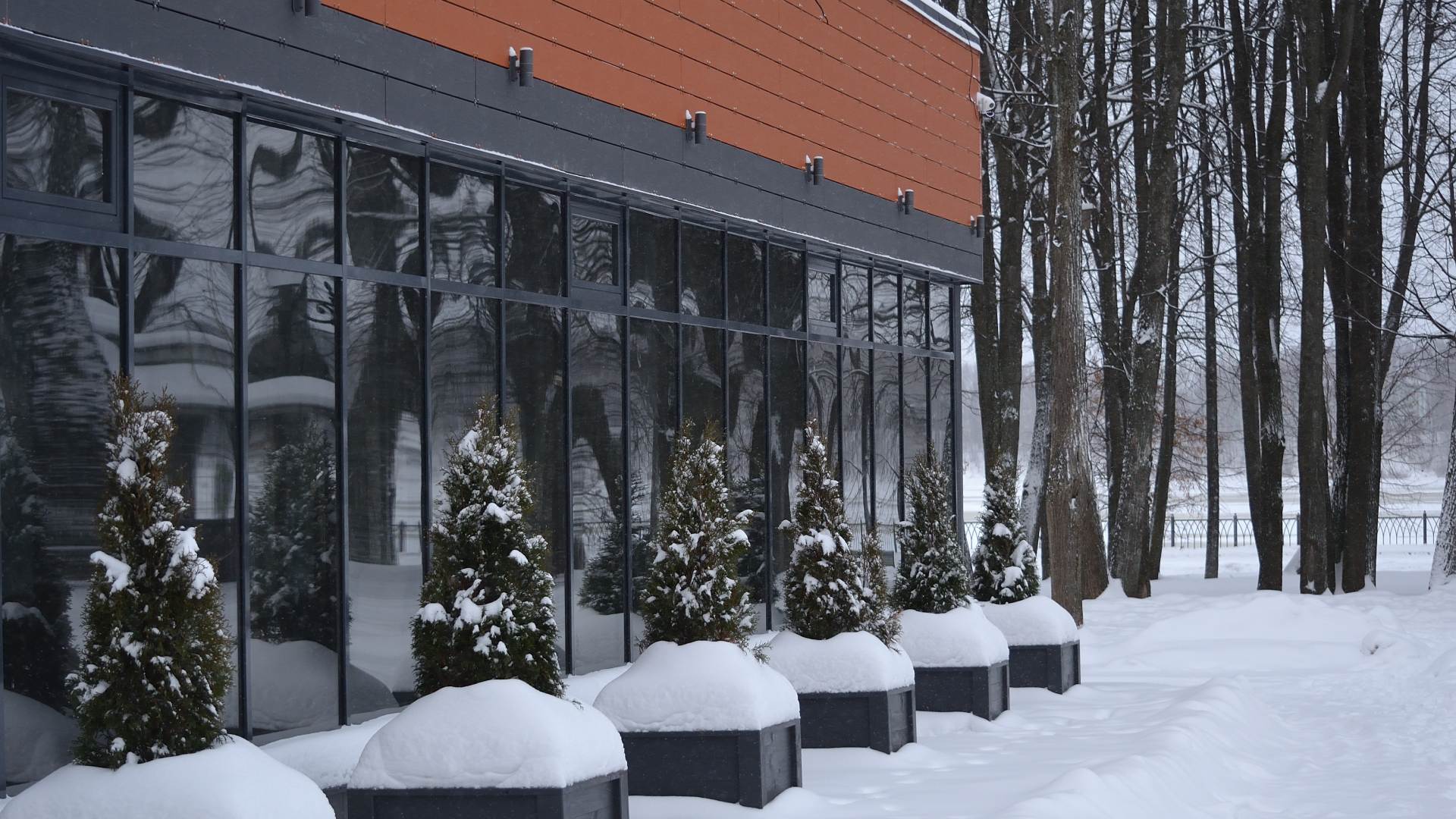 The exterior of a commercial building with large windows. There's snow on the ground and plants in front of the building.