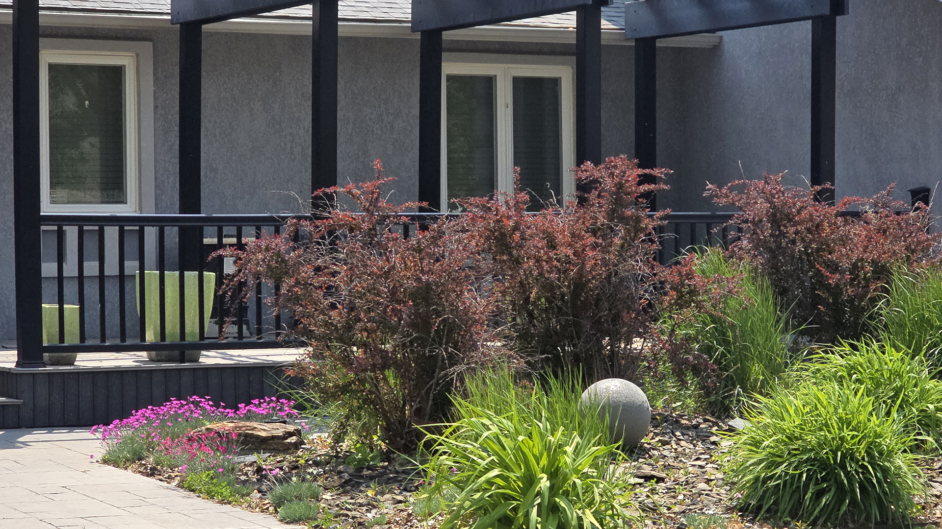 A very nice yard.