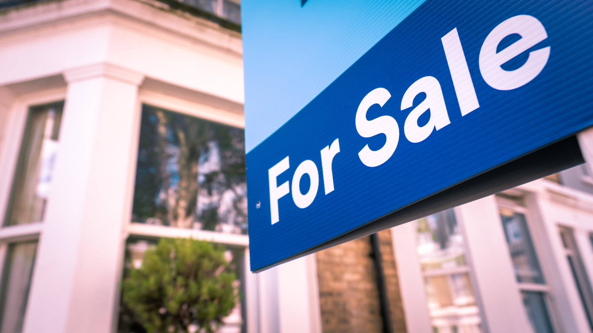 A house has a blue sign in front that reads "For Sale." The house has large windows and a small tree in front of it.