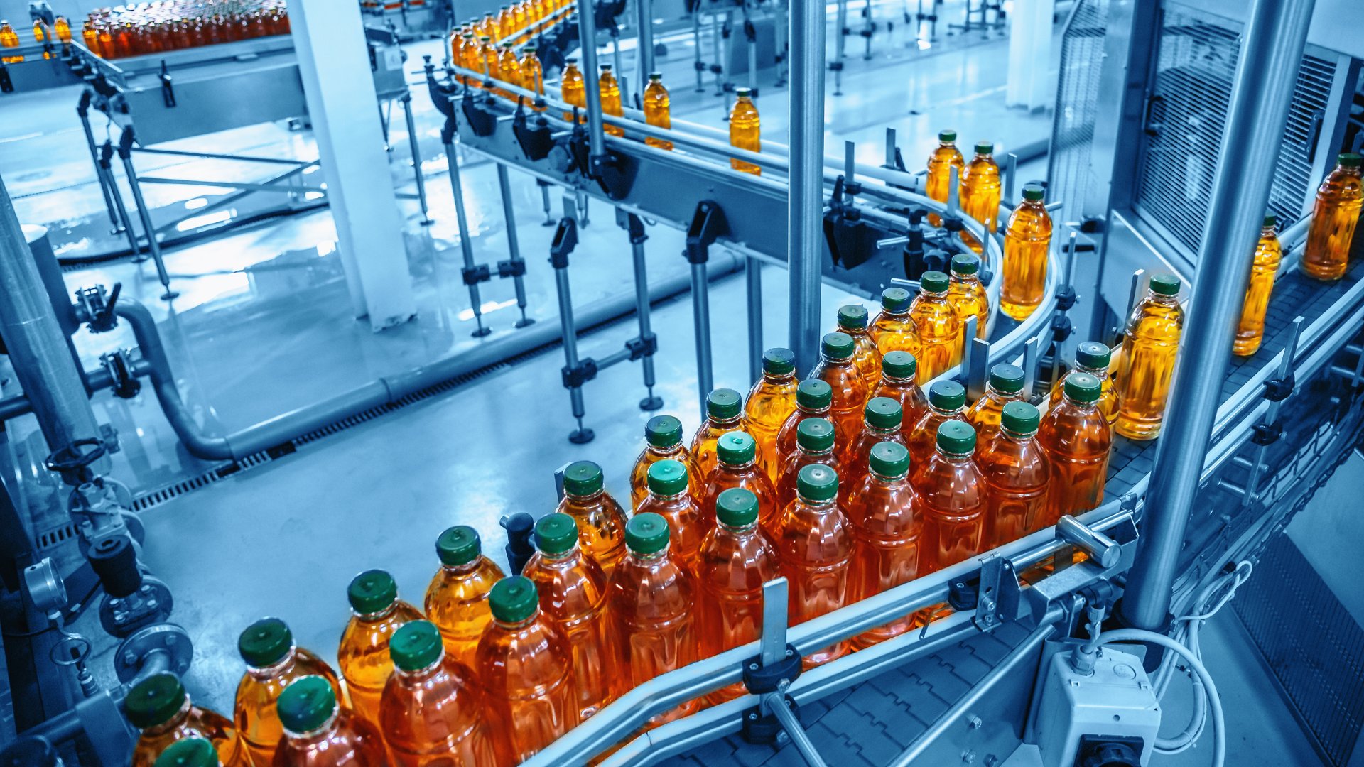 Hundreds of bottles of an amber-colored beverage move through a manufacturing facility on a conveyor system.