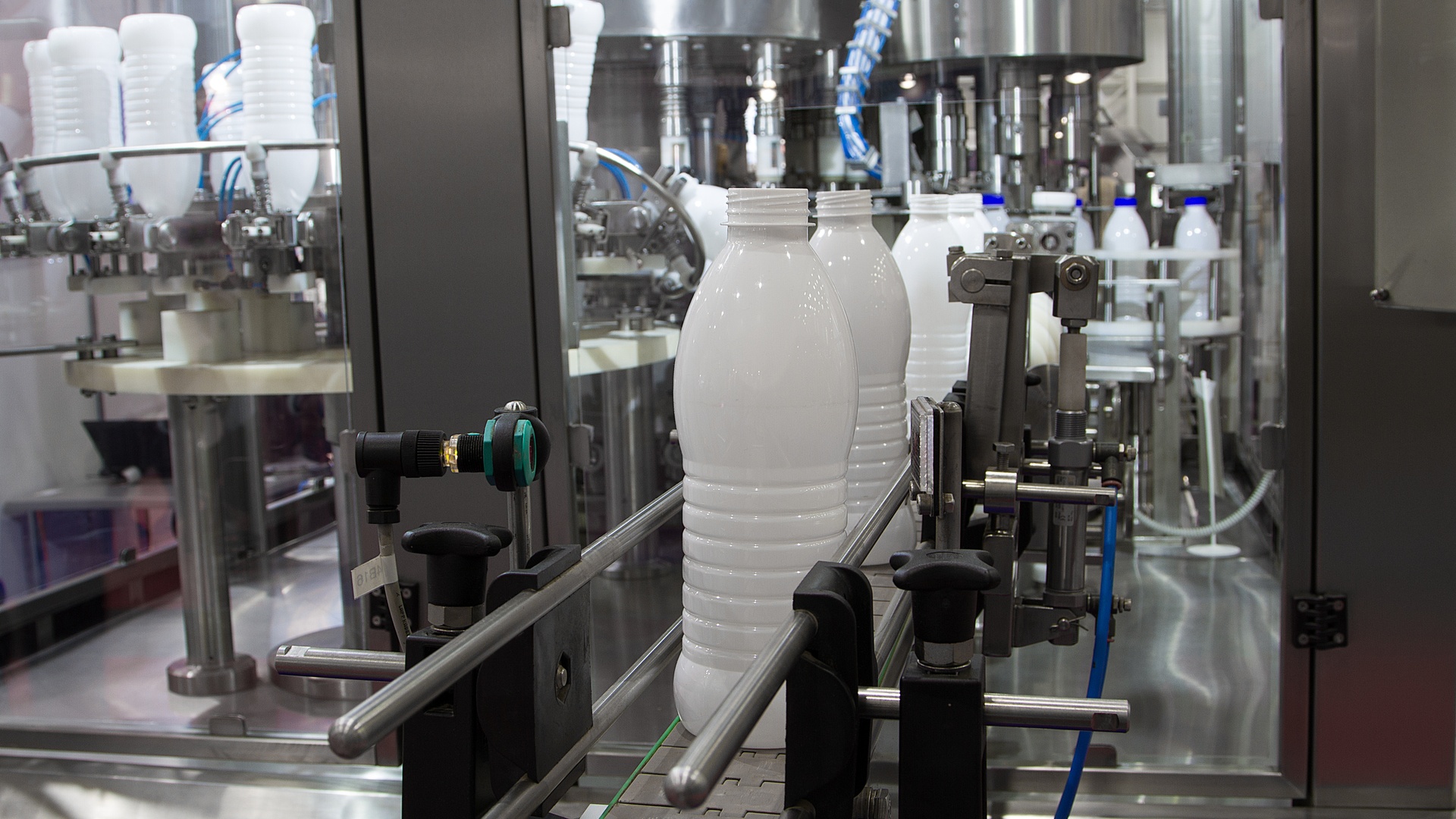 White plastic bottles are going down a conveyor belt of a large, silver industrial machine. The bottles have blue lids.