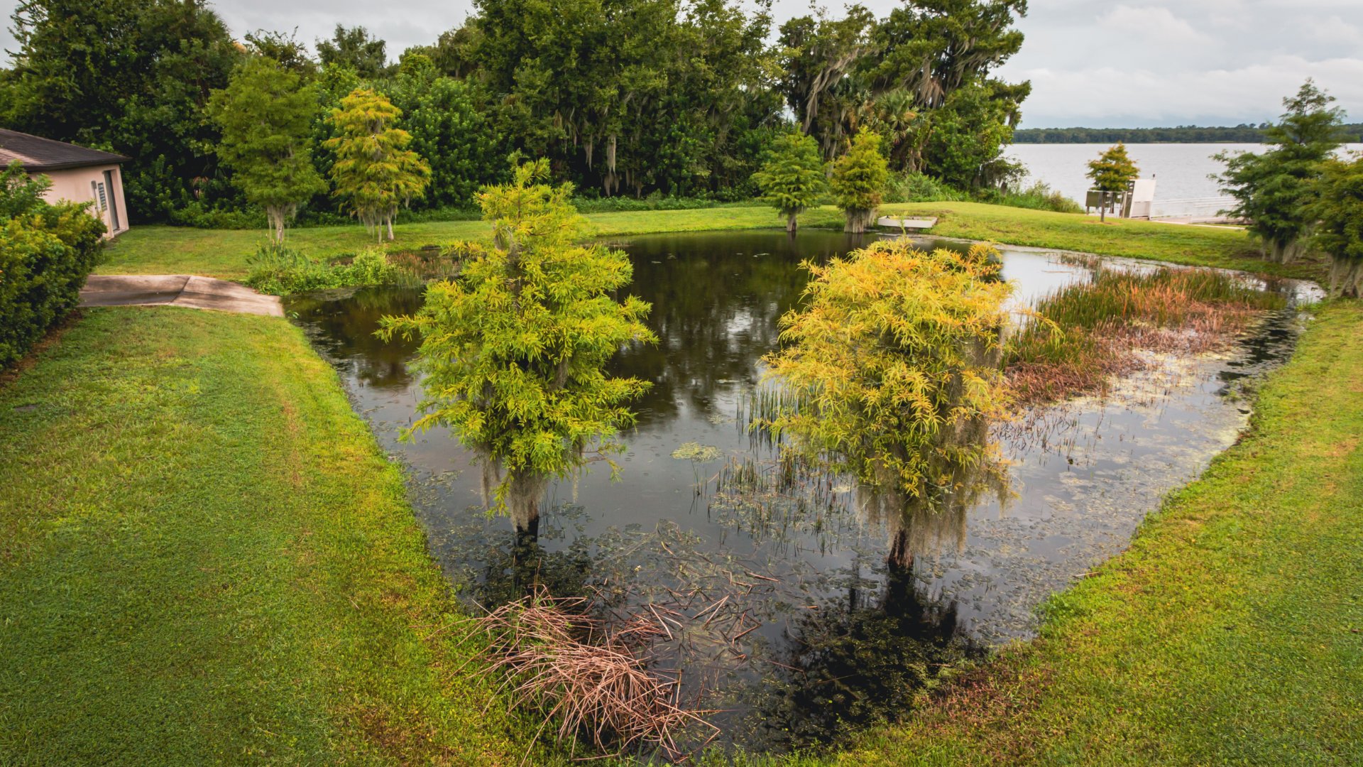 A pond is flooded with water as the waterline is past the trees that surround the pond. A large lake is next to the pond.