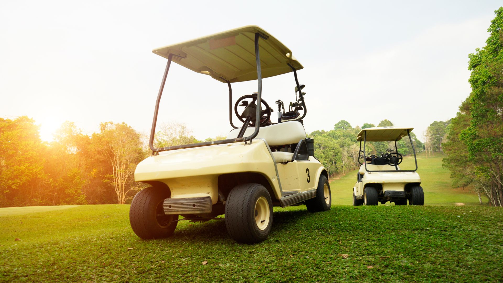 A pair of golf carts parked on the putting green. The sun is going down behind the tree line and the carts are older.