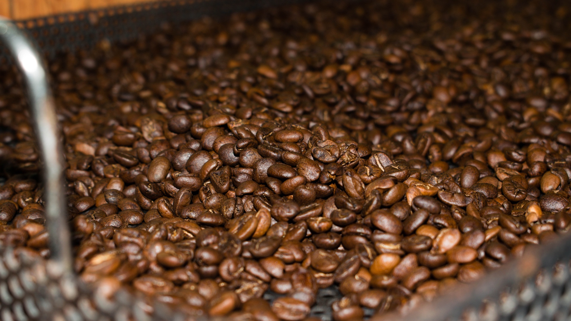 A close-up of a bucket full of Costa Rican coffee beans ready for processing. They're all shades of dark and light brown.