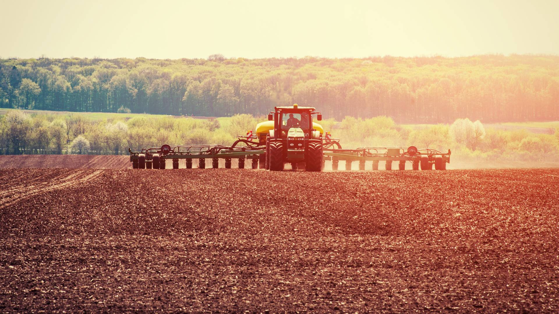 A farmer uses a tractor to plow a field so it is ready for them and workers to place seeds in later in the season.