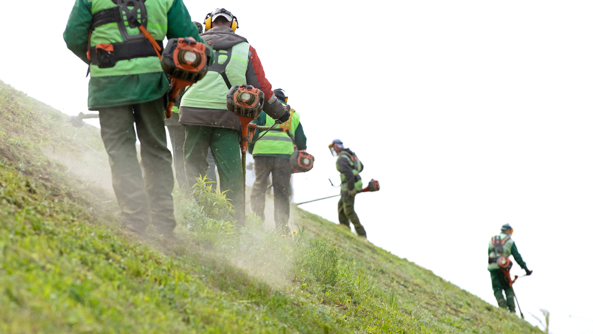 Multiple workers standing on the side of a hill, cutting grass with string trimmers. Most of the hill has been fully trimmed.