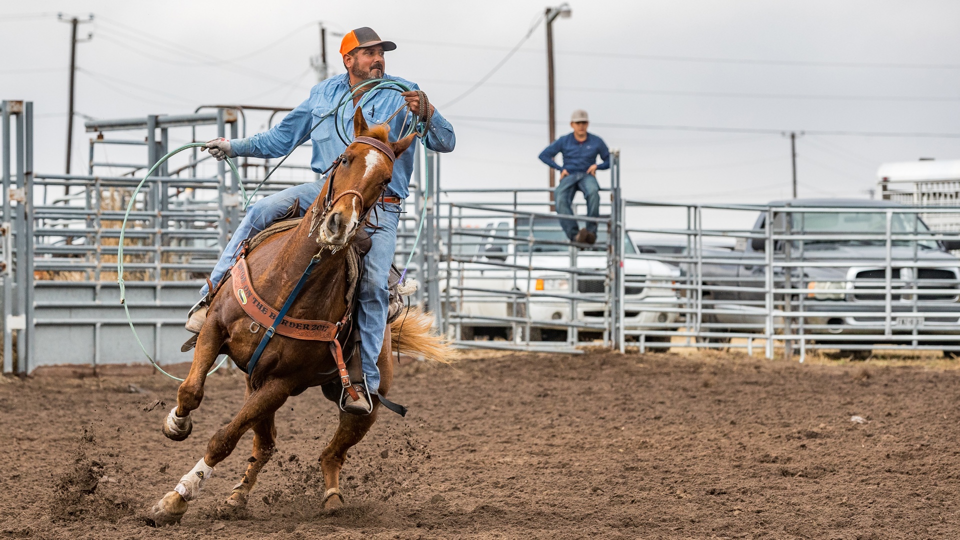 A man wearing denim rides a brown horse while holding a green lasso in both hands during a roping competition.
