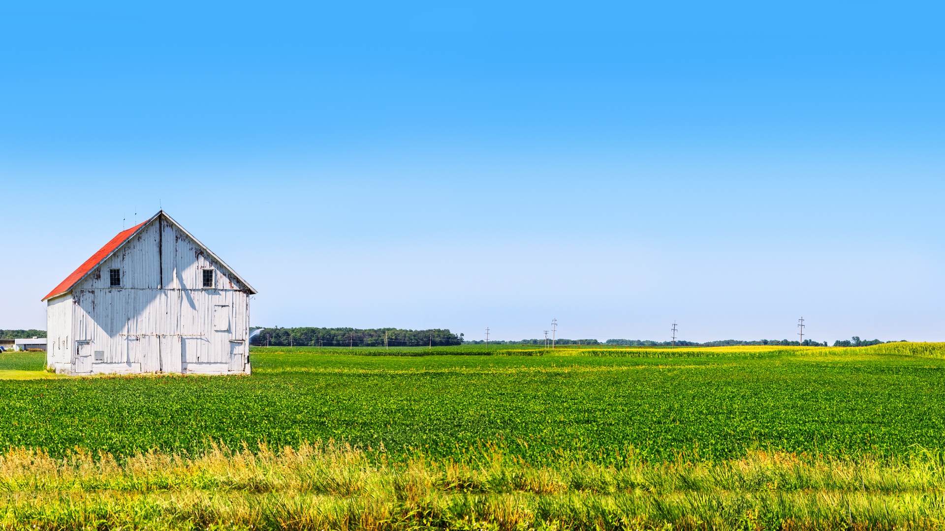 A beautiful lush plot of farmland with nothing on it but an old white barn. The barn has a bright red roof.