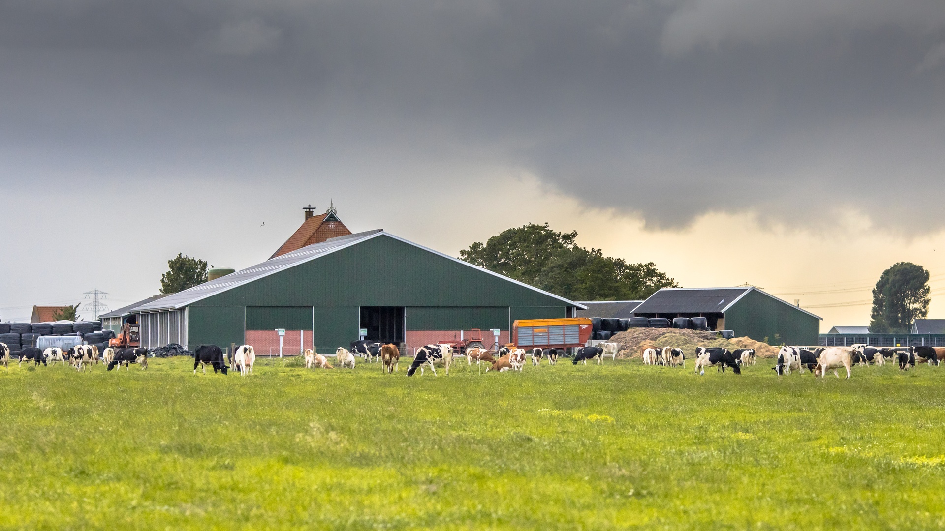 Dark, heavy clouds loom over a livestock barn. There are cattle grazing the field in diverse colors and shapes.