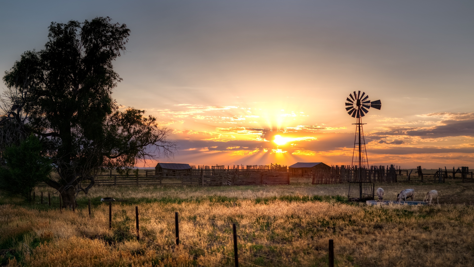 A small farm with an old windmill. The sun is going down in the background, coming through the patchy clouds.