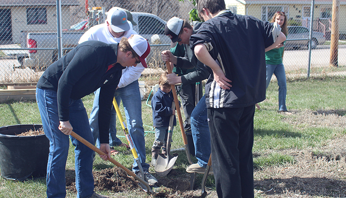 A group planting a tree