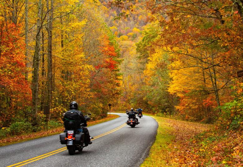 Three riders on motorcycles navigating a curved road lined by trees displaying red, orange, yellow, and green leaves.