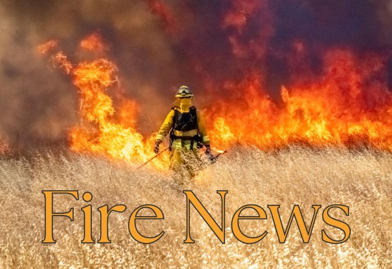 News Letter Journal - Staff Photo - Create Article