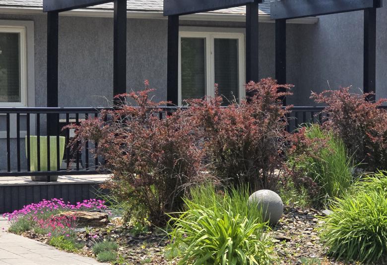 A very nice yard.