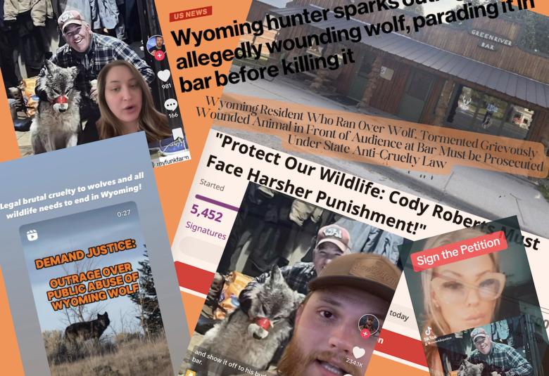 News Letter Journal - Staff Photo - Create Article