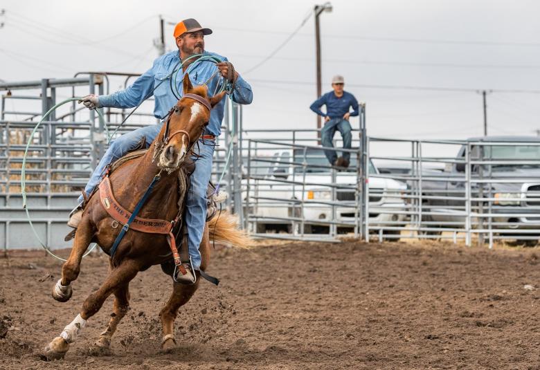 A man wearing denim rides a brown horse while holding a green lasso in both hands during a roping competition.