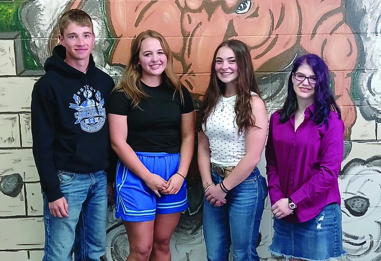 News Letter Journal - Staff Photo - Create Article
